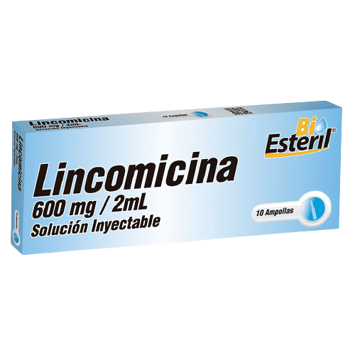 LINCOMICINA 600/2ML X 10 AMP